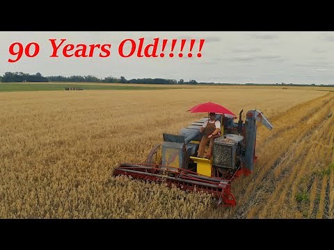 First harvest in 50 years! 90 Year old combine lives again!