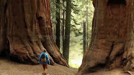 LG Televisions TV Spot, 'OLED: Just Got Bigger'