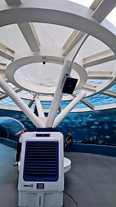 3.6M views · 47K reactions | Look  walking here to explore the place like this #landscape #you #stay #watch #ambience #positivevibes #viralvideos #video #viral #vintage #viralpost #TimelessElegance #explore #timeflies #lifestyle #viralreels #spend #films #naturelover #highlights #fish #aquarium | Crisniels | Facebook