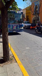 57K views · 886 reactions | ¿Ya te subiste al CityBus? todavía es gratis. Update: ya cuesta $8 varos, lleven cambio. | Oaxaca México | Facebook
