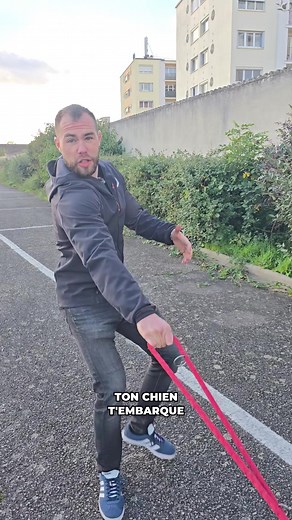 Voici un exercice pour apprendre à ton chien à ne plus tirer en balade Bien sûr, pour avoir un chien calme en balade pleins d’autres facteurs entrent en compte comme par exemple ses dépenses physiques et mentales ou encore sa gestion de l’excitation. ---------- ✅ Enregistre ce post pour y revenir plus tard, et abonne-toi pour plus de conseils pratiques sur l’éducation canine. #educationcanine #rééducationchien #educateurcanin #chien | Lucasvabre-canitime