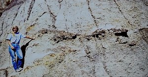 32 years ago today, fossil hunter Sue Hendrickson discovered a nearly...