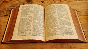 The Four Languages You Must Know to Understand WordPress