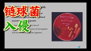 10 Streptococcus