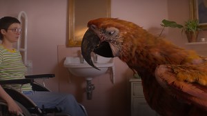 Julia Louis-Dreyfus goes from 'Veep' to weep in new tearjerker film 'Tuesday'