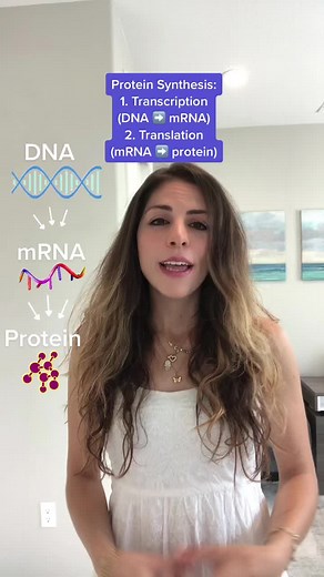 Protein Synthesis Explained: Transcription and Translation