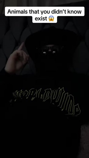 areucurious on TikTok