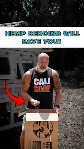 Hemp Bedding Will Save Your Chicken Coop 🌿🐔