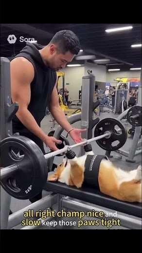 I know this is AI, but dog translator is real tech!