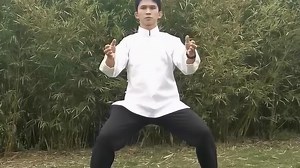 太极拳“开合桩”教学，民间高手慢动作分解，简单易懂好学