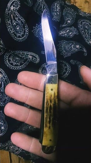 🔥 Case Deep Canyon Burnt Amber Bone Mini Trapper — Small Knife, Big Character! 🔥