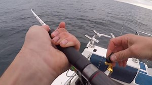 12K views · 39 reactions | Catch more whiting with the Sandy Snatcher rig! Watch the video to see how James from Fishing Victoria uses the rig and has consistent success. Learn more about the rigs here: https://www.blackmagictackle.com/product/sandy-snatcher/ | Black Magic Tackle | Facebook