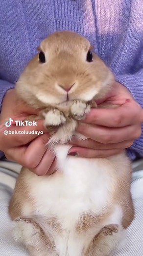 TWICE More More More: Official Music Video