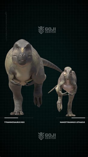 T. rex and Nanotyrannus size comparison