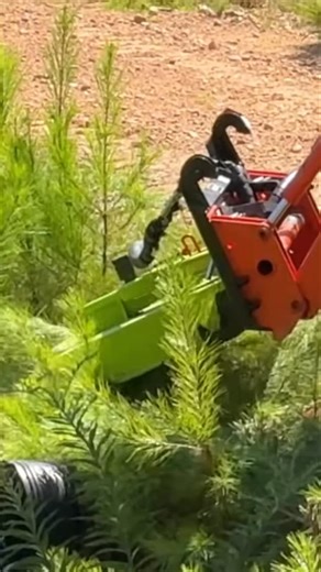 Lane Shark USA on Instagram: "The Lane Shark LS3 going to work on the @coghillfarm property! There’s no safer or more efficient way to maintain your land as a tractor owner than with a Lane Shark. Curious to see what model Lane Shark will work with your tractor? Check out the Find Your Fit tool on our website! 🌿🚜 #laneshark #lanesharkusa #tractor #kubota #kioti #newholland #masseyferguson #tym #branson #johndeere #badboy #mahindra #lstractor #homestead #diy #howto #outdoors #outdoorsman #sport