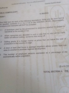 Give ONE term for each of the following descriptions (no abbrev... | Filo