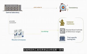临床试验科普篇19：什么是Central Lab（中心实验室）？