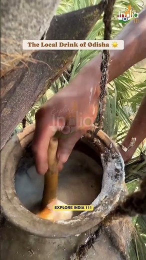 Exploring TADI: The Traditional Palm Tree Drink in Bihar, India #shorts