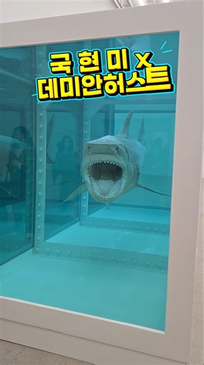 상어 사체를 작품으로 데미안허스트