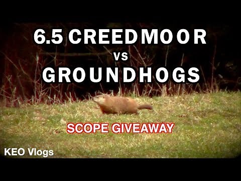 6.5 Creedmoor Vs Groundhogs