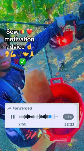 1.5K views · 92 reactions | Motivation advice | Last gate TV | Facebook