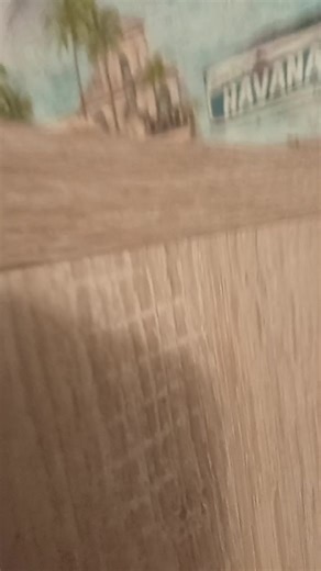 ptiчka (@ptichka_original)’s videos with оригинальный звук - _Motyliok_