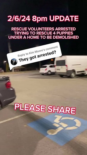 Urgent Animal Rescue Mission: Help Save 4 Baby Puppies in Danger