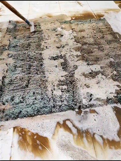 How to Clean Rugs Like Professionals | Stain Removal Tutorial | Awesome Carpet