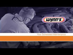 Wynn's Power Steering Fluid Exchange - Your Scheduled Maintenance
