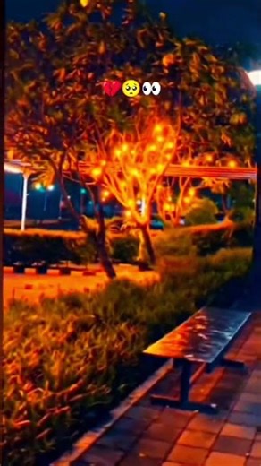 Dil Galti Kar Baitha Hai #trandreels#trandshort#viralsong#viralreels#hindisong#lovesong#wollywood