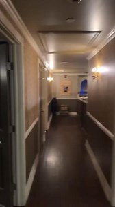 The Disco Biscuits on Reels