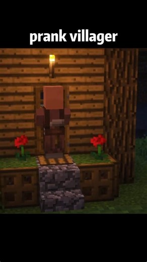 Minecraft Prank villager moment