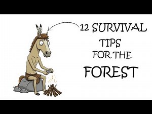 12 Forest Survival Tips (0.001% of People Know This)