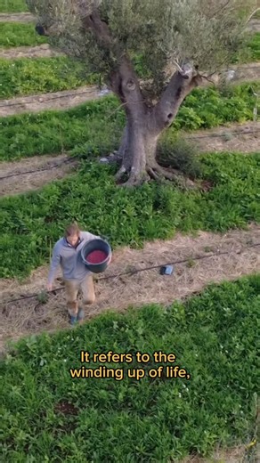 Porvenir Design on Instagram: "If you have ever wondered how to apply Syntropic Farming to your land outside of the humid tropics - our new free webinar is live on youtube and provides a compare and contrast to the key patterns of Syntropic Farming around diverse climates. 🌳If you want a deep dive into this topic and are ready to begin designing and planting your new orchard this 2026, then come and join us for our 8 week live course that walks you through all the steps to begin planting. Find 