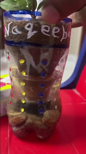 DIY Plants Science Project for Kids 🌱 | Easy School Experiment That Actually Works!