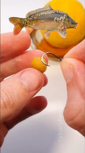 🍊✨ Best Homemade Carp Bait Recipe 🎣 #shorts