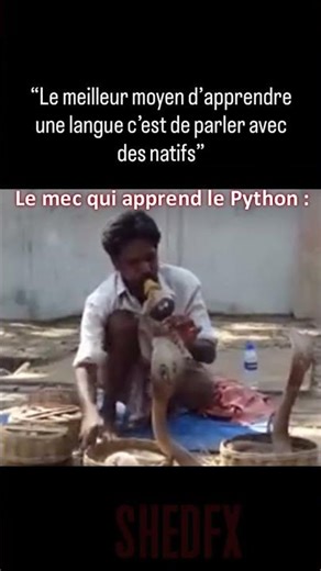 En mode python les mecs ! #coding #memes #humour #mdr #pourtoi #funny