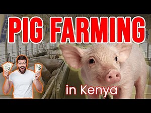 Success in Swine: Crafting a Profitable Pig Farming Business Plan in Kenya!