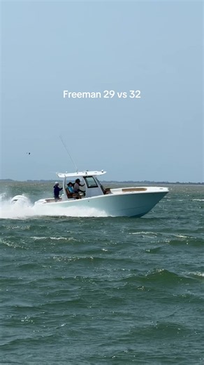 Freeman 29 vs Freeman 32: Which One to Choose?