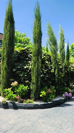 Excellence in Landscape Design with Go Green Landscapers