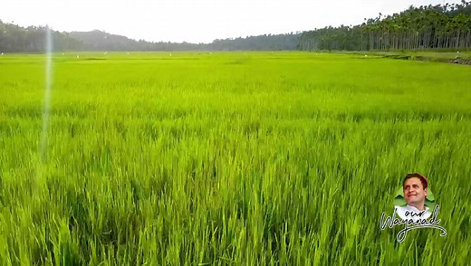 103K views · 10K reactions | Sustainable tourism is the future of travel. We need to ensure that we are mindful of the environment, the local communities & the economic development of the beautiful places we visit. Wayanad's pristine & untouched landscape is certainly worth a visit. #WorldTourismDay #OurWayanad | Rahul Gandhi | Facebook