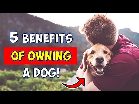 5 BENEFITS OF OWNING A DOG (Backed By Science)