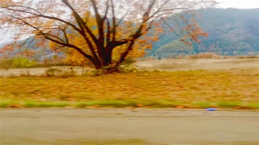 Gold Mining - Oregon• Nov. 3, 2025 | Spencer Moore | Facebook