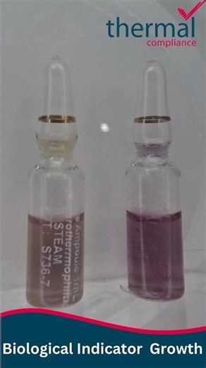 Time Lapse - Biological Indicator Growth