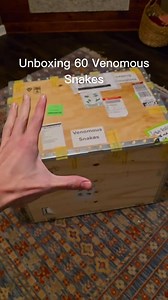 Unboxing $30,000 of venomous snakes. #reptiles #pets #unboxing | Thecallmelamp | Facebook