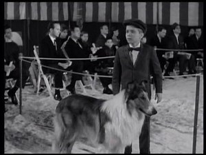 Lassie - Episode #281 - "Double Trouble" - Season 8 Ep.26 - 03/11/1962
