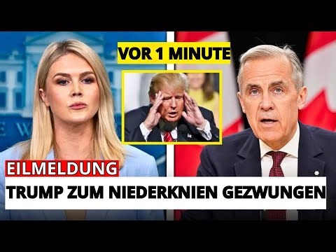 LIAR Trump EXPOSED AGAIN — Canada turns its trade war into a national embarrassment.