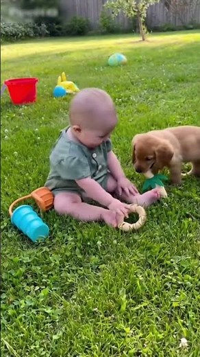 Little Workers Play with Puppies in Cute Pretend Scenes!