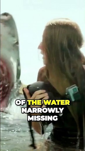 Surviving a Shark Encounter - The Shallows (2016) Thriller Movie Recap