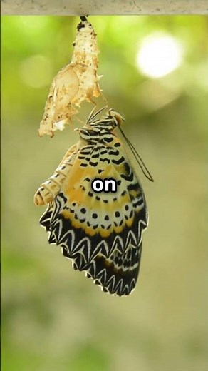 Building a Growth Mindset